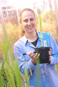 Amanda Able in the glasshouse.