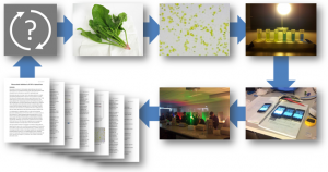 Students are more engaged if they are involved in the entire lifecycle of an experiment. This includes designing the experiment, preparing the biological samples, performing the experiment, and analysing and communicating their findings.